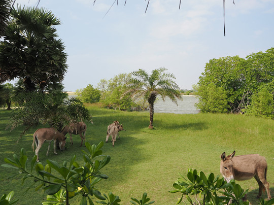 元素水上运动与自然度假村主图