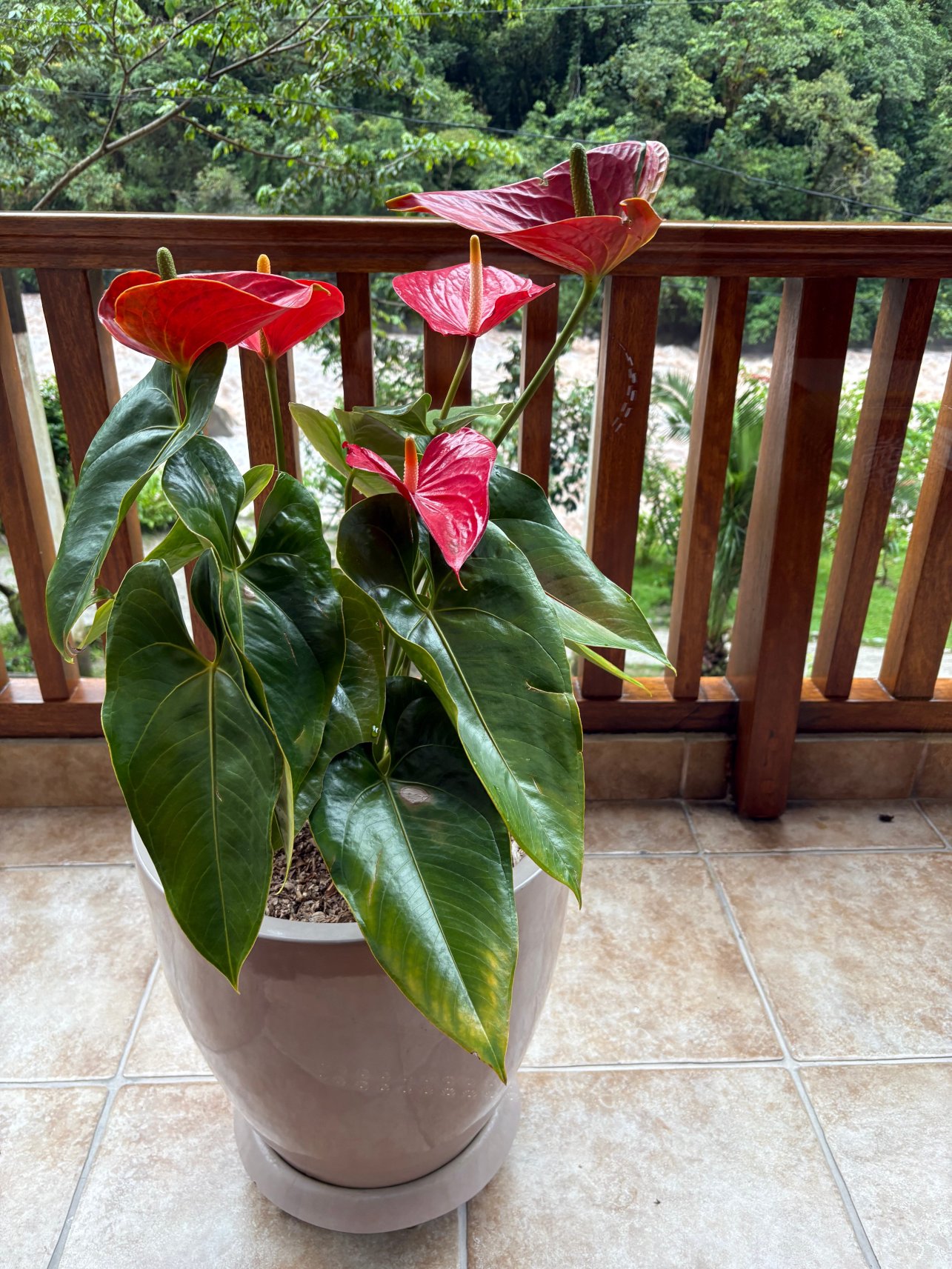 马丘比丘苏马哥酒店-浴室