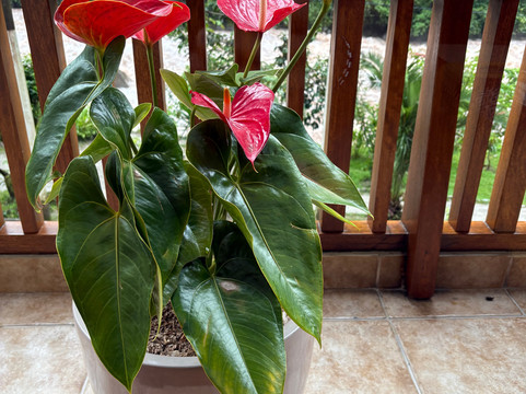 马丘比丘苏马哥酒店主图