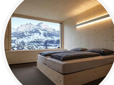 Revier Mountain Lodge Adelboden主图