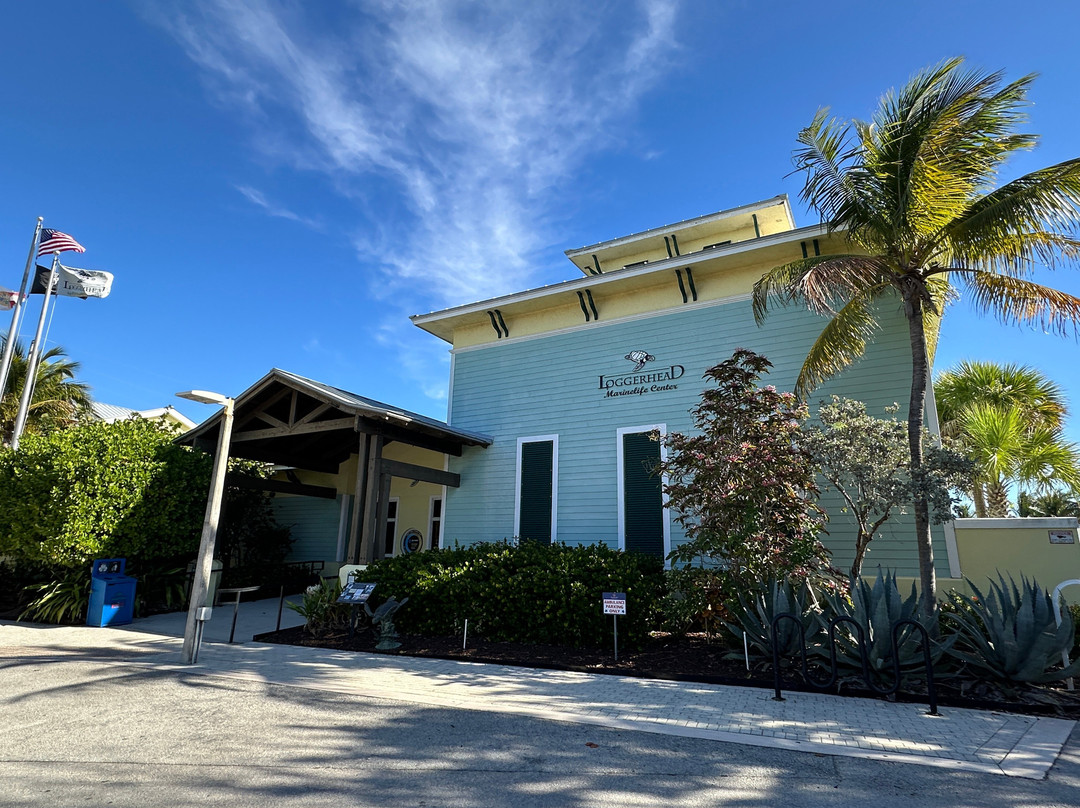 Loggerhead Marinelife Center-朱诺海滩必去景点