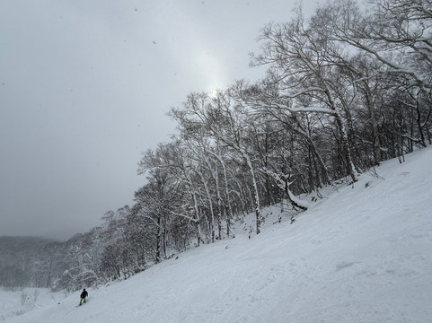 Iwate Kogen Snow Park-雫石町必去景点