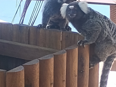 Bianco Receptivo-Maceio必去景点