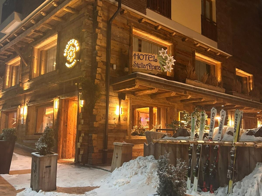 Hotel Stella Alpina主图