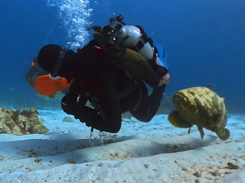 Captain Slate's SCUBA Adventures-Tavernier必去景点