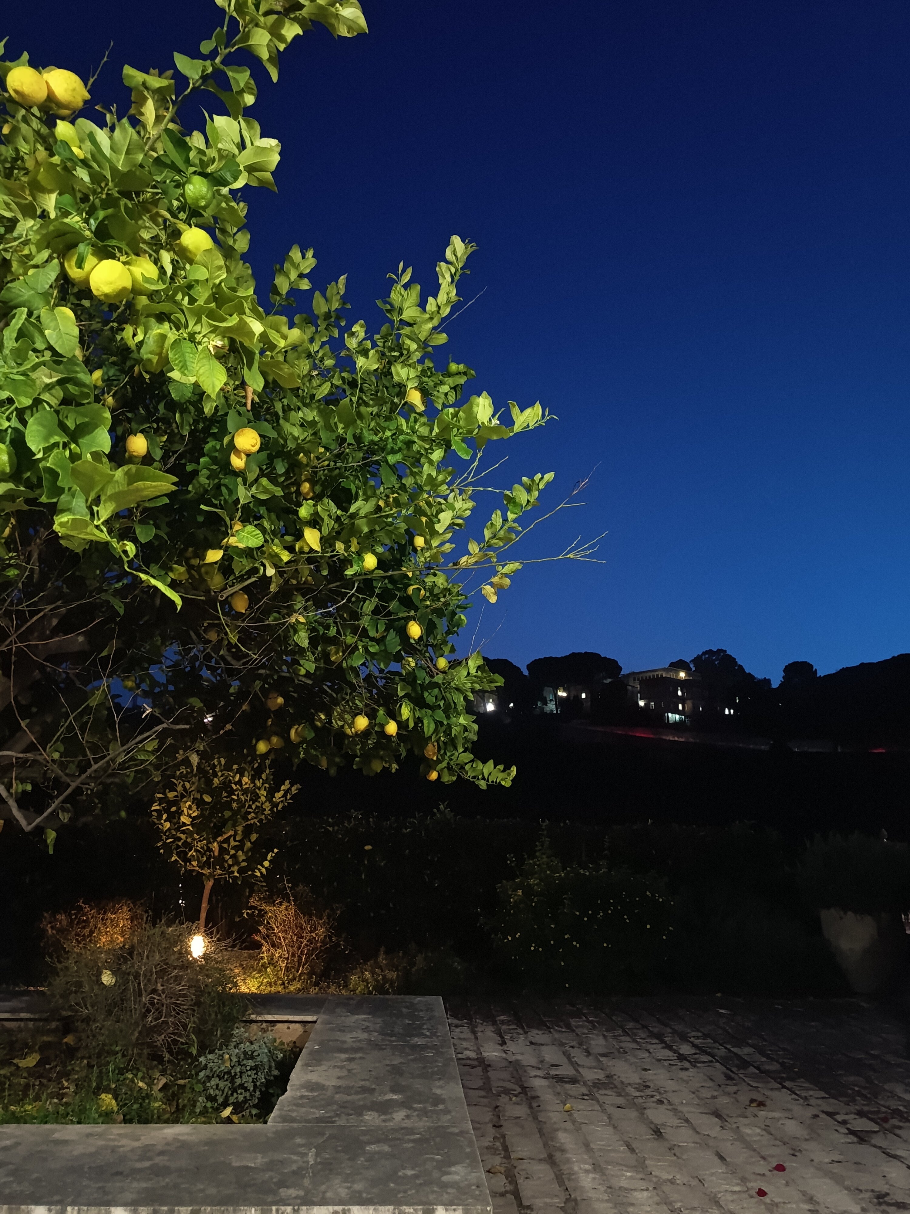 圣乔治宫酒店-浴室