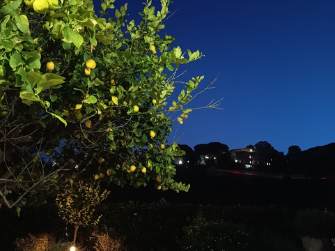 圣乔治宫酒店主图