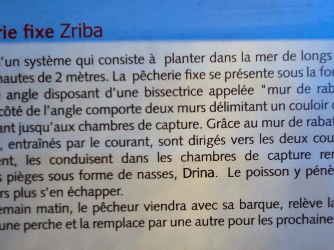 Musee du Patrimoine Traditionnel Djerbien-Houmt Souk必去景点