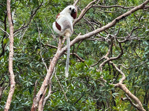 Croc Farm-安塔那那利佛必去景点
