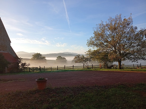 Domaine de la Foret主图