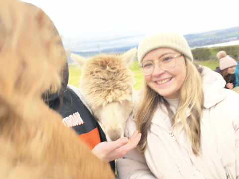 Larch Green Alpacas-格拉斯哥必去景点