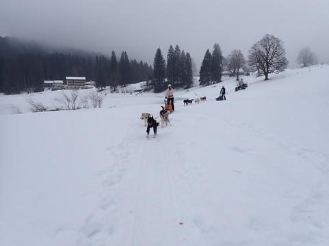 Fischer Adventures Day Tours-圣加仑必去景点
