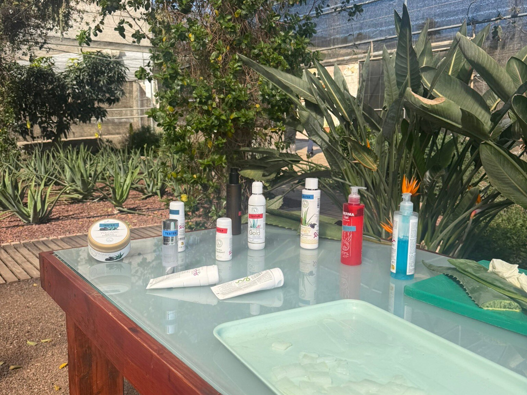 Finca Canarias Aloe Vera-阿罗纳必去景点