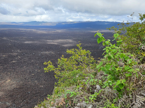 Sierra Negra-伊莎贝拉岛必去景点
