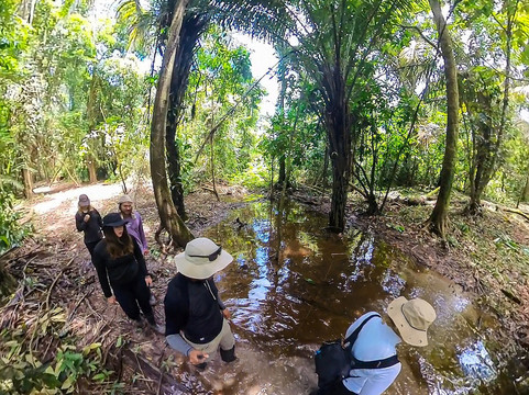 Expeditions George of the Jungle-莱蒂西亚必去景点