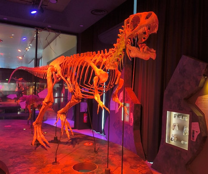 Paléospace-Villers-sur-Mer必去景点