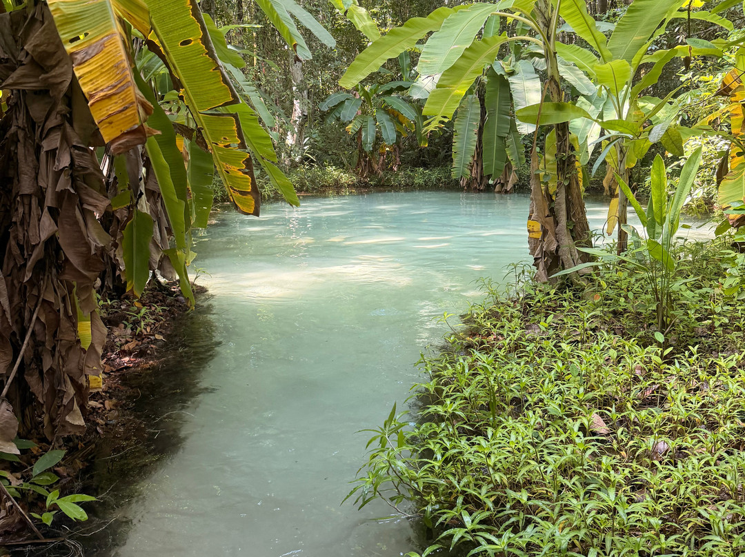 Lacos do Jalapao-Jalapao State Park必去景点