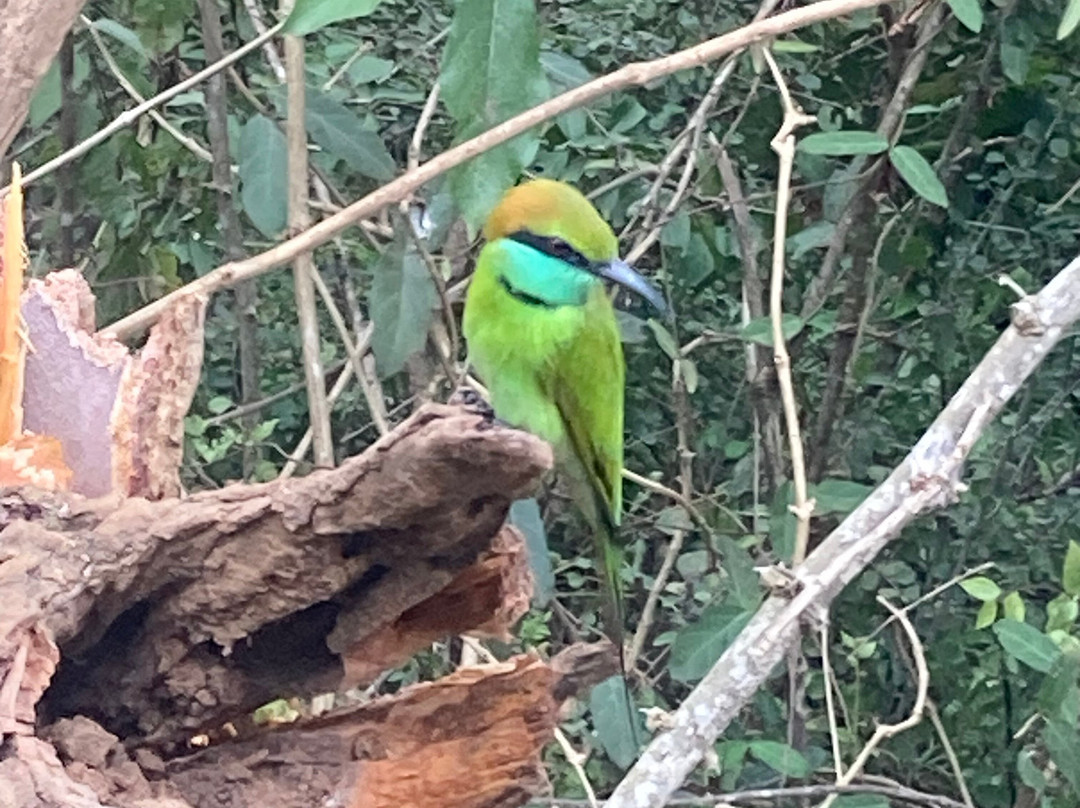 Driver Sri Lanka T-Two-奴娃拉伊利雅必去景点