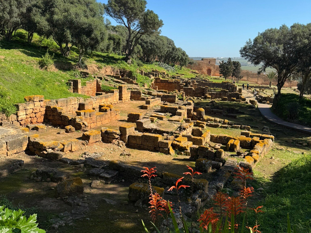 Chellah Rabat-拉巴特必去景点