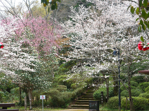 Ibuki Park-仓吉市必去景点