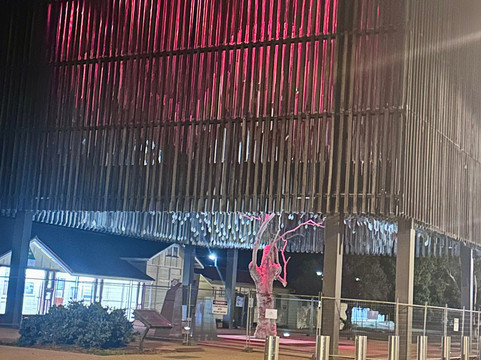 Tree Of Knowledge-Barcaldine必去景点