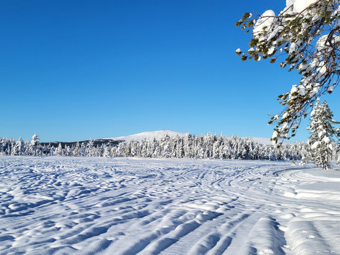 Safartica Yllas-Yllasjarvi必去景点