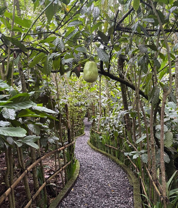 Cantik Agriculture-吉安雅必去景点