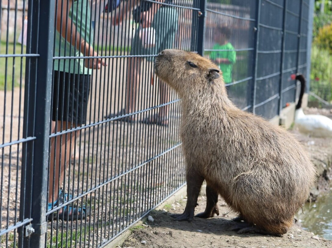 Podlaska Toskania-Suwalki必去景点