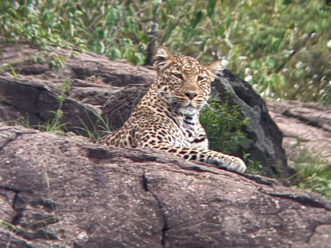 Ongeri Expeditions-Luxury Safaris-Karen必去景点