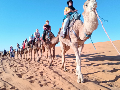 Sunshine Morocco Tours-马拉喀什必去景点