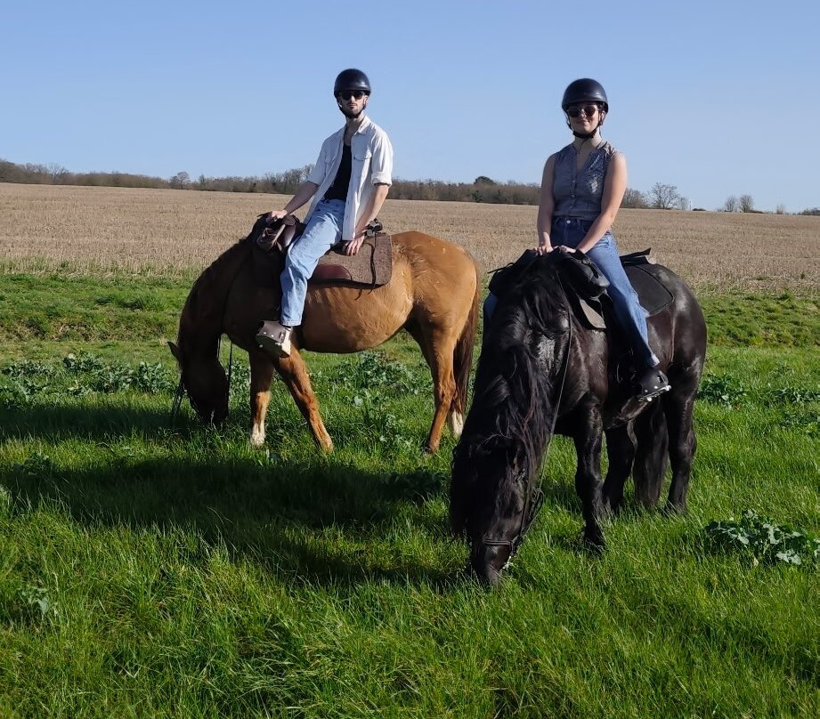 Horse Journey-Saint-Martin-le-Beau必去景点