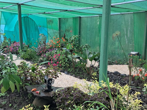 El Jardin Reverente-Nuevo Arenal必去景点