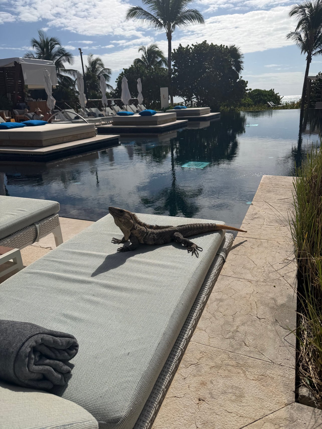 乌尼科玛雅河滨全包式住宿酒店 - 限成人-泳池