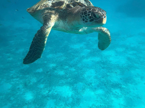 Phuket Cheap Tour-普吉岛必去景点