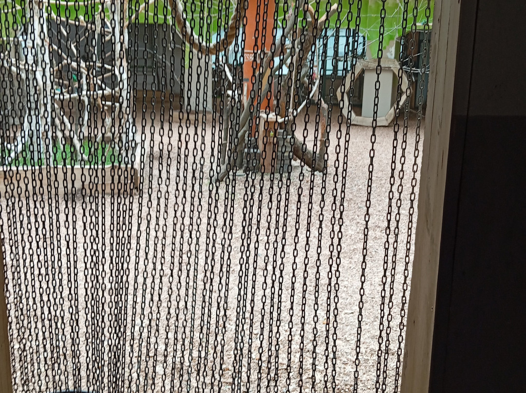 Papugarnia Carmen-华沙必去景点