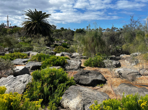 Parque Tony Gallardo-马斯帕洛马斯必去景点