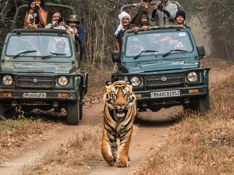 Traveller Realm-Chandrapur必去景点