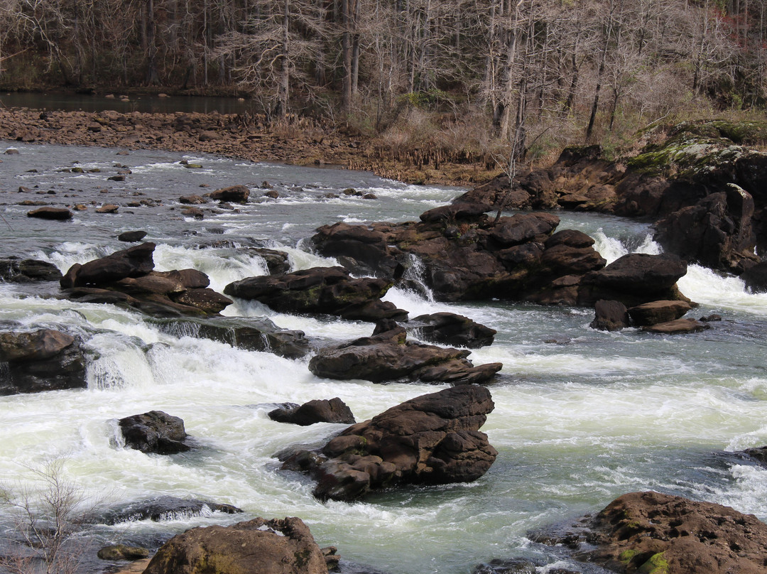 Big Eddy Riverfront Park & Trails-Tallassee必去景点
