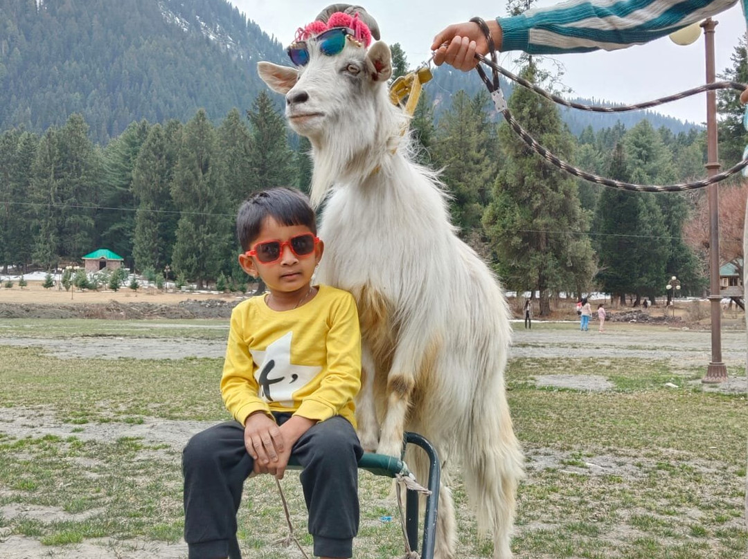 Sunway Kashmir Tour & Travels-斯利那加必去景点