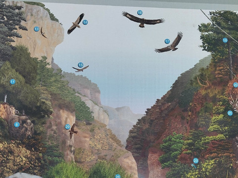 David's Coachtrips-托雷维耶哈必去景点