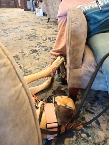 运河苑酒店-官方