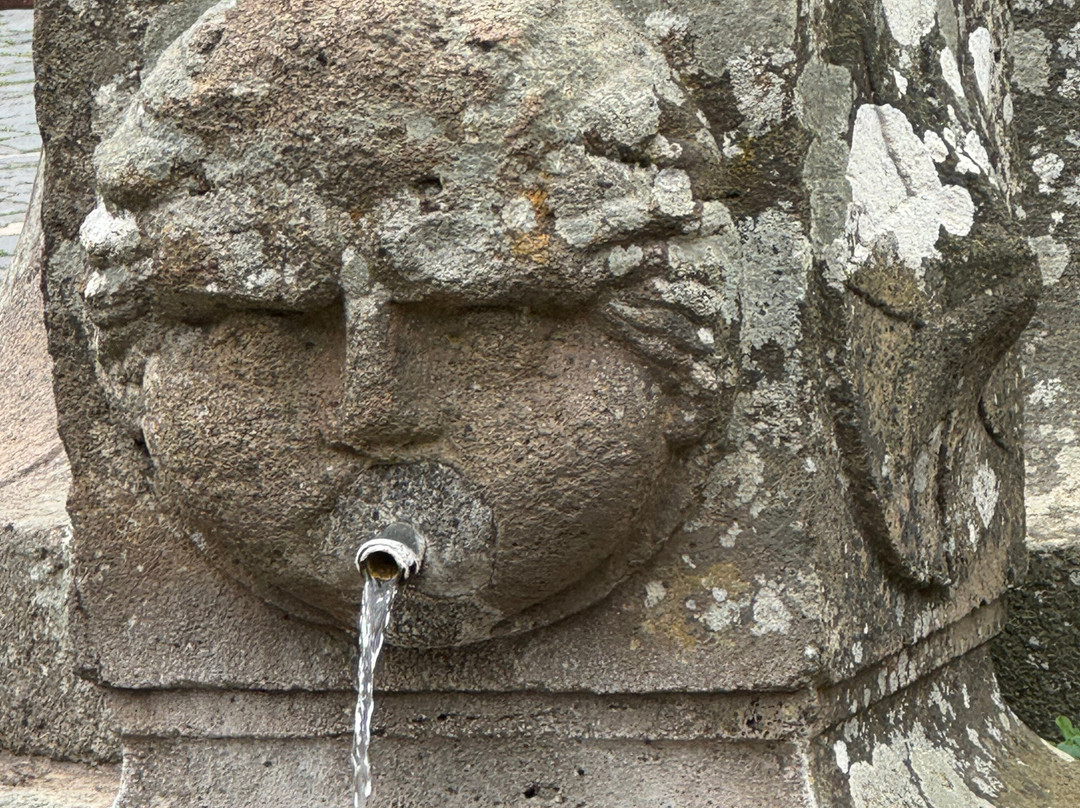 Fontana Delle Picche-Oriolo Romano必去景点