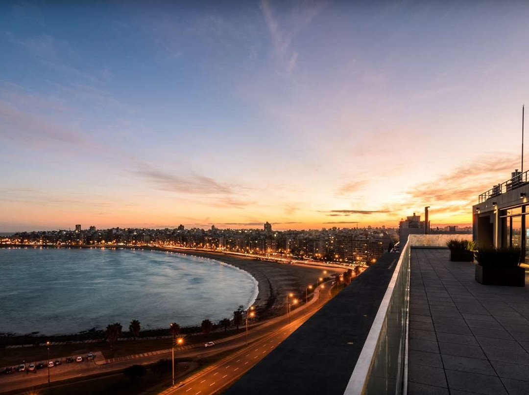 蒙得维的亚凯悦尚萃酒店