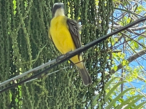 Jason Lara Tours-波魁特必去景点