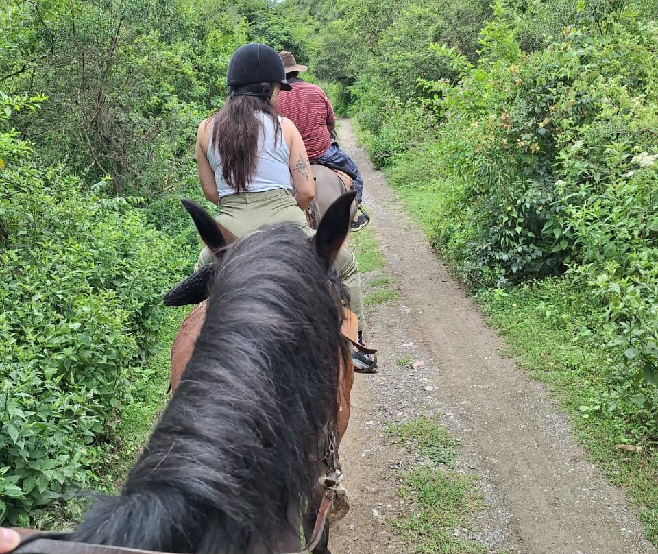 Cabalgatas Gauchas-萨尔塔必去景点