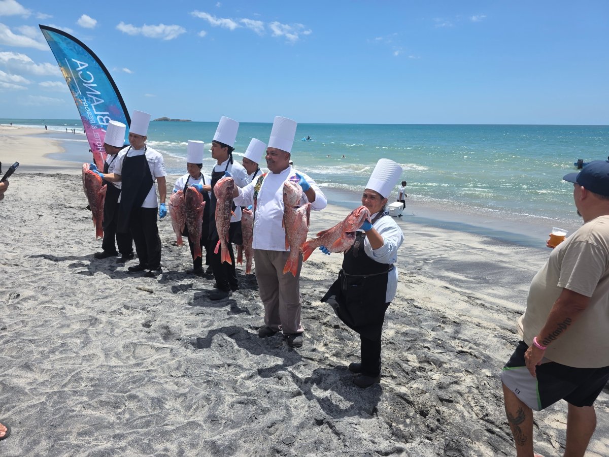 普拉亚布兰卡海滩全包度假村-官方