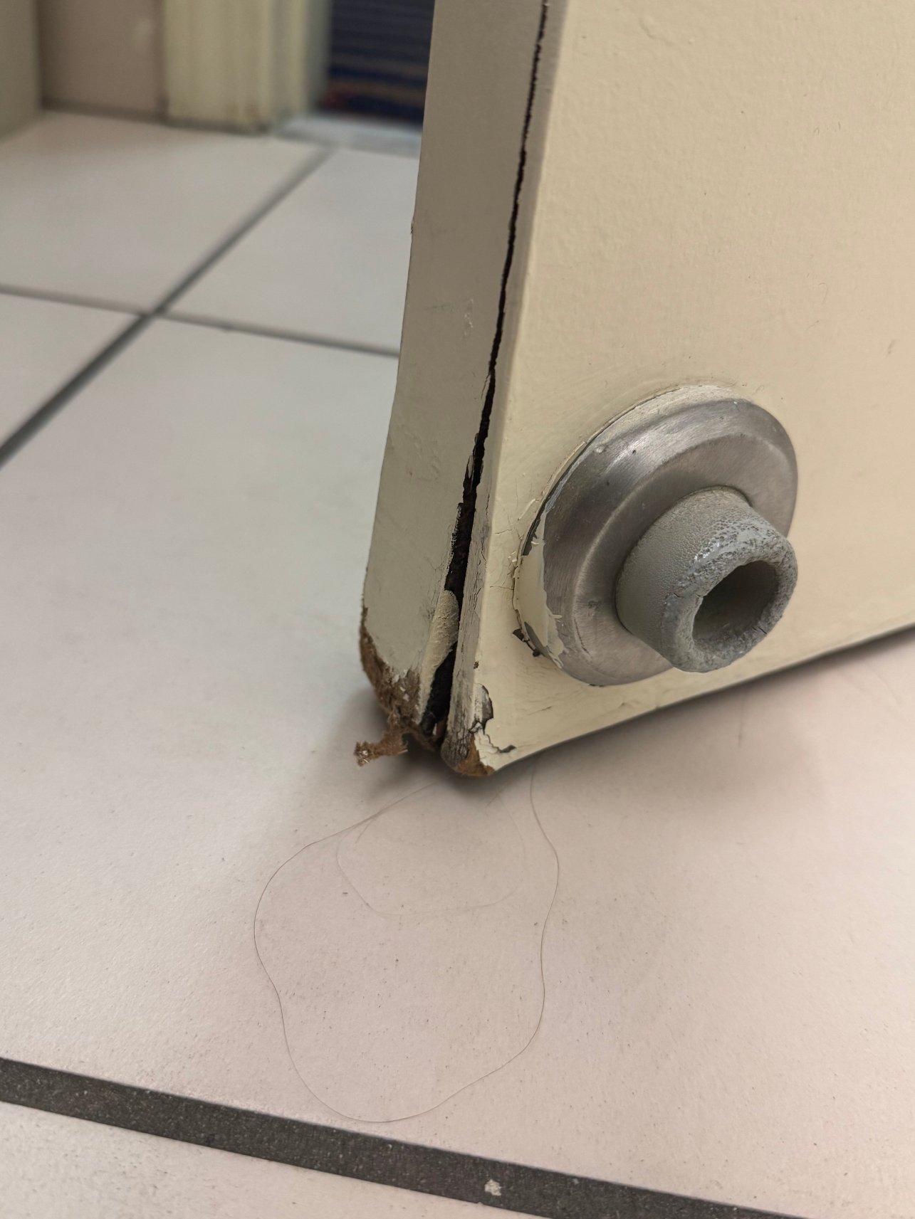 智选假日套房酒店里士满北阿什兰-浴室