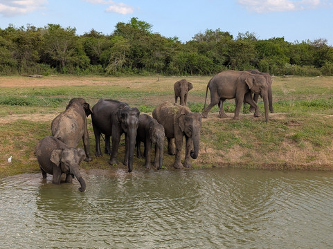Jay’S Tours-科伦坡必去景点