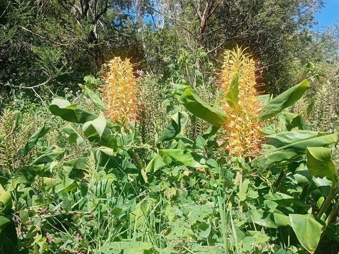 Gîte Les Mimosas主图