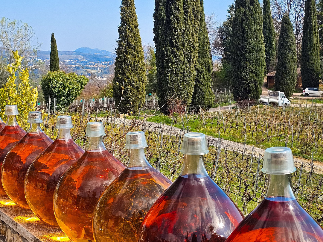 Domaine Des Hautes Collines-Saint Jeannet必去景点